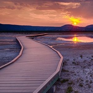 Meet your Posher, Tobias
